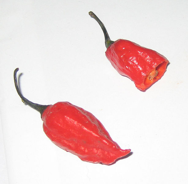 nagajolokiapepper